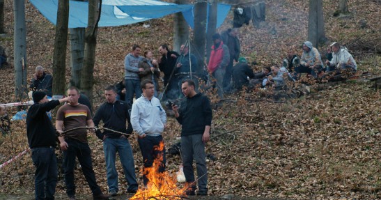 Rajd Świdnicki